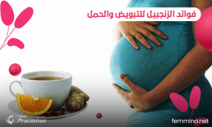 فوائد الزنجبيل للتبويض والحمل