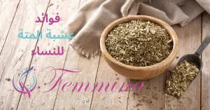 فوائد عشبة المتة للنساء